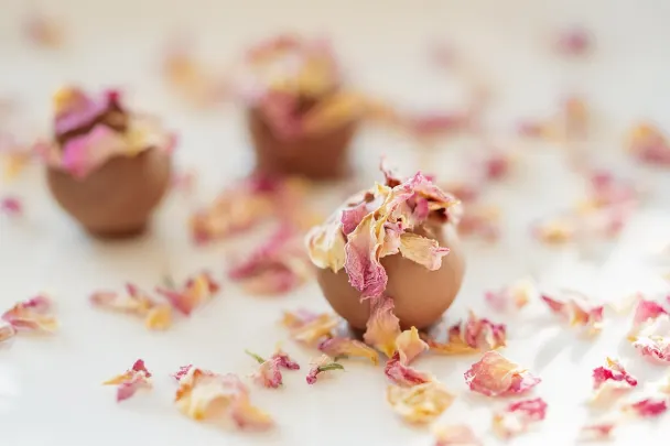 Casino Generation VIP Aplicación Android/iOS